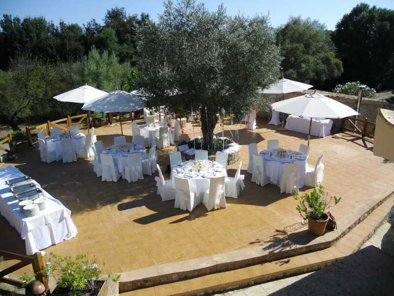 Finca Son Olive เซลวา ภายนอก รูปภาพ